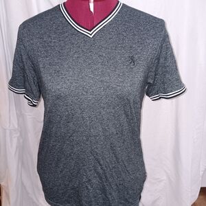 Lions Crest Gray V-Neck T-Shirt